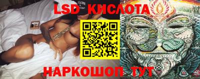 PSILOCYBIN Кулебаки