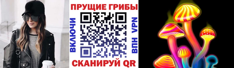 хочу наркоту  Ртищево  omg зеркало  Псилоцибиновые грибы прущие грибы 