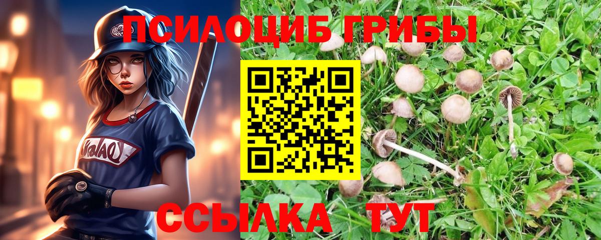 Псилоцибиновые грибы мухоморы  Галлюциногенные грибы ЛСД  Ртищево  Вход с VPN 